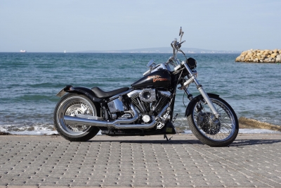 Harley Davidson Softail Custom