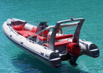 Rib Explorer