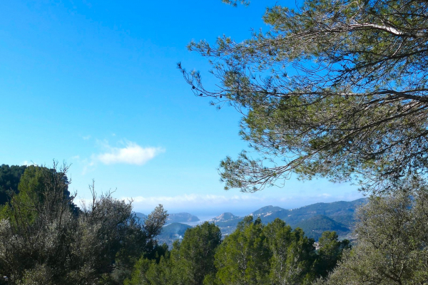 Traumhäuschen Haus mit Meerblick im Tramuntanagebirge