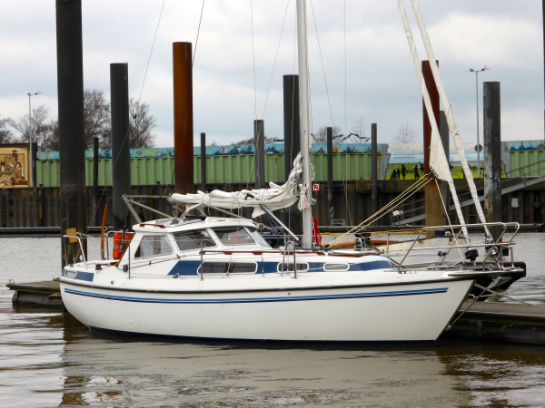Mascot 28