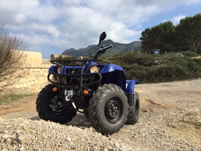 Yamaha Grizzly 350