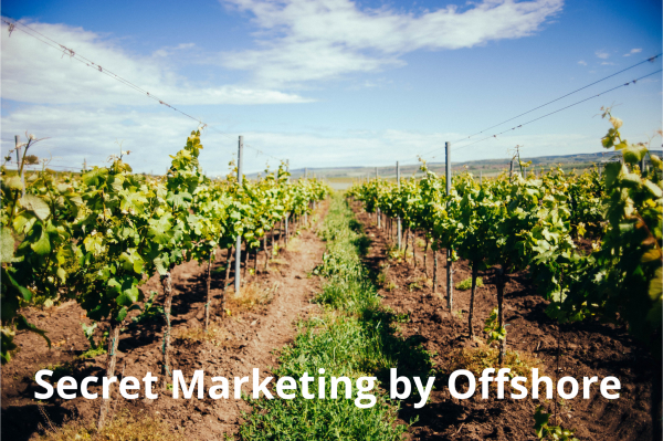 Grosses Grundstück mit Weinanbau und Hausprojekt in Umgebung von Inca