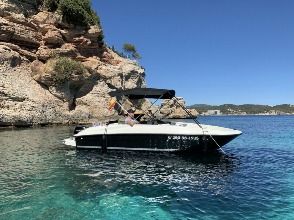Bayliner Element E5