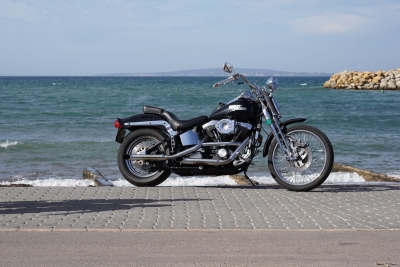 Harley Davidson Springer