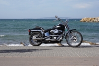 Harley Davidson Springer