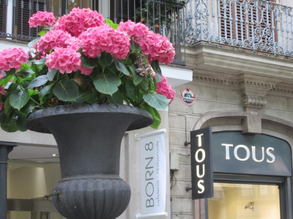 Ir de compras en Palma y después excursión por Valldemossa