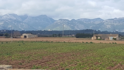 Baugrundstück Blick auf das Tramuntana Gebirge Sa Pobla