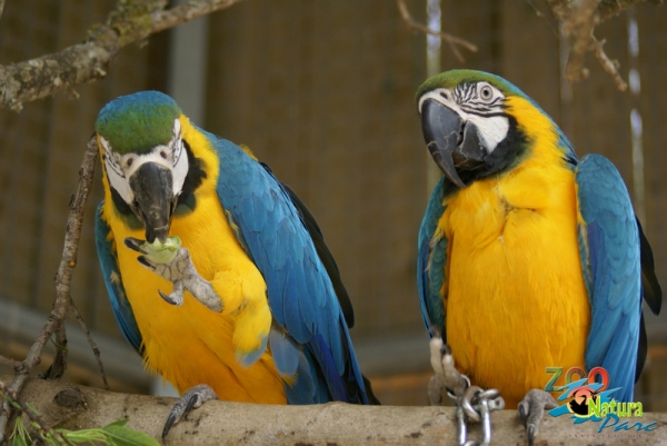 Visita al Parque Natural