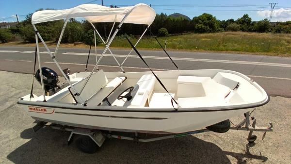GFK Boot 19PS mit Trailer Angelboot Fischerboot